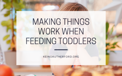 Making Things Work When Feeding Toddlers